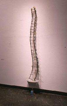 Spine